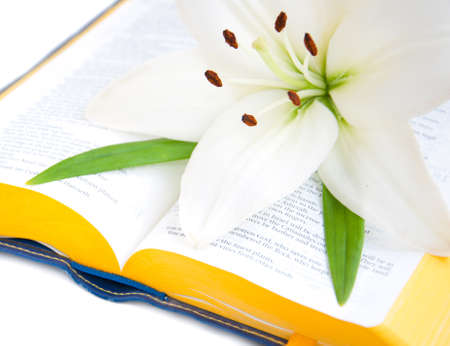 Easter Lily and Bible on a white backgroundの写真素材