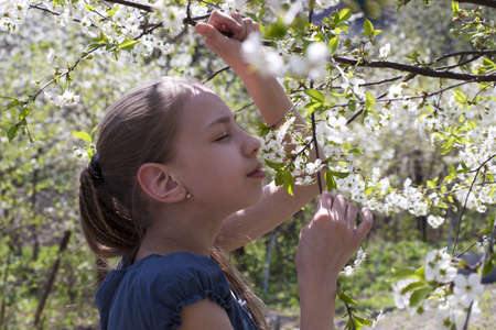 Beautiful young girl  among blossoming cherry treesの写真素材