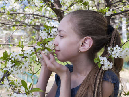 Beautiful young girl  among blossoming cherry treesの写真素材