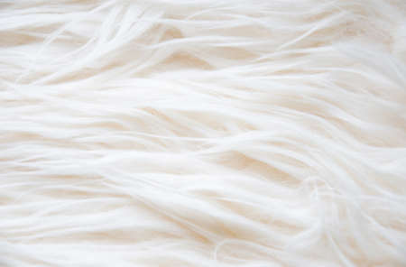 Close-up of white fur backgroundの写真素材