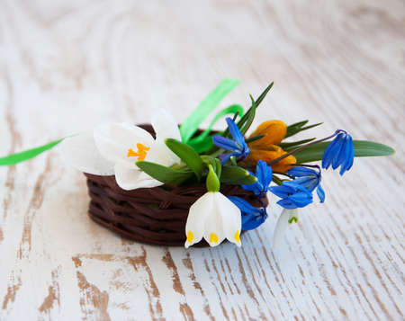 snowdrop and crocus spring flowers in basketの写真素材