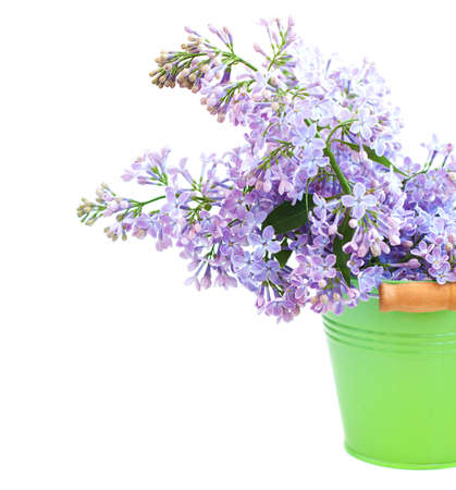 Bouquet of  lilac in a green bucket on a white backgroundの写真素材