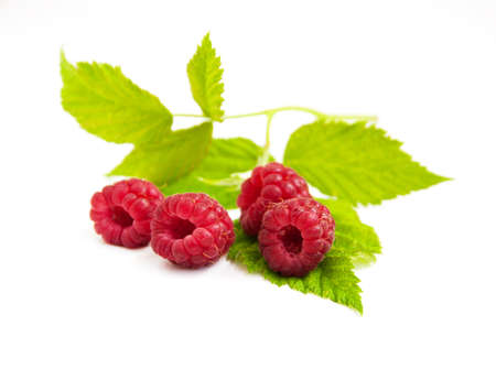 Fresh raspberries with leaves  on a white background