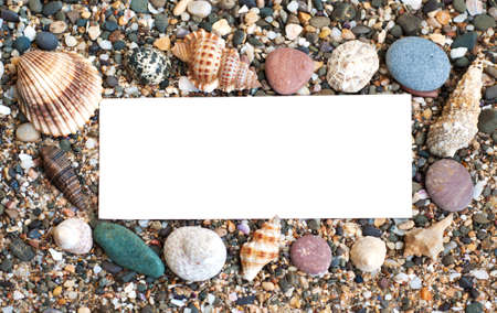 Blank paper on the beach sand with seashellsの写真素材