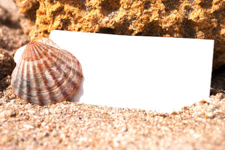 Blank paper on the beach sand with seashell