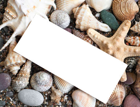 Blank paper on the beach sand with seashells