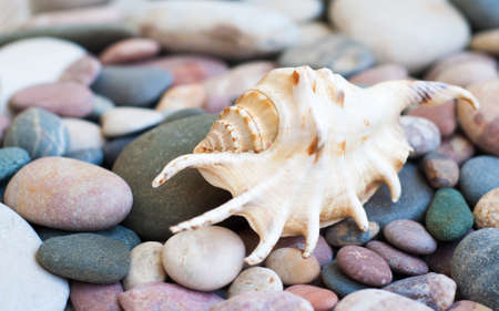 Colorful stones  on the beach の写真素材