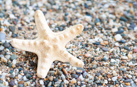 Colorful stones  on the beach - nature backgroundの写真素材