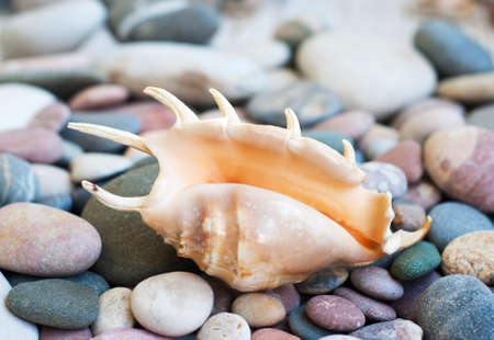 Colorful stones  on the beach - nature background