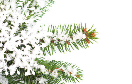 Snowflake ornament on a Christmas tree on a white backgroundの写真素材