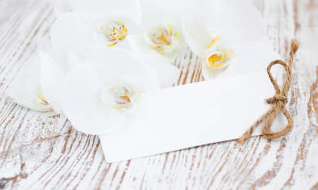 Orchids and blank card on a white wood backgroundの写真素材