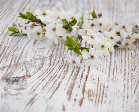 Cherry blossom on a old wooden background