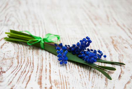 Grape hyacinth on a old wooden backgroundの写真素材