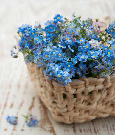 Bouquet of spring forget me not  flowers in basketの写真素材