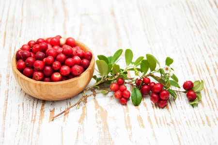 Cranberries with Leaves on a wooden backgroundの写真素材