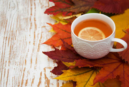 Cup of tea with  in an autumn settingの写真素材