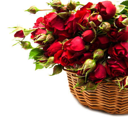 Basket with red roses on a white backgroundの写真素材
