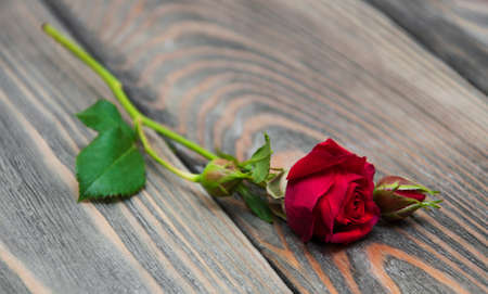Fresh Red rose on a wooden  backgroundの写真素材