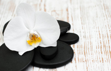 Spa stones, orchid flower heads on a wooden  backgroundの写真素材