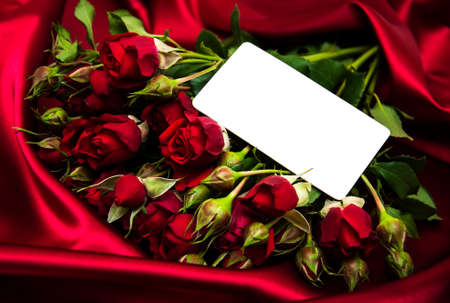 Red roses with greeting card on a silk  backgroundの写真素材