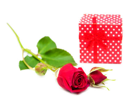 Red roses  and gift box on a white backgroundの写真素材