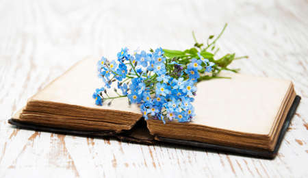 Bunch of forget-me-nots flowers and very old bookの写真素材