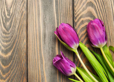 purple colored tulip flowers on a wooden backgroundの写真素材