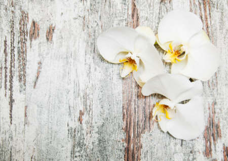 White orchids on a old wooden backgroundの写真素材