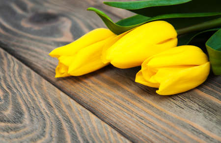 Yellow colored tulip flowers on a wooden backgroundの写真素材