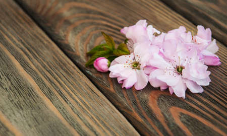 Pink sakura blossom on a old wooden backgroundの写真素材