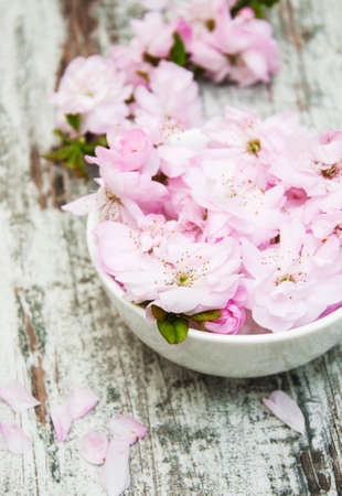 flowers of sakura blossoms in a bowl of water on a old wooden backgroundの写真素材