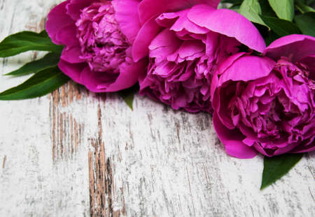 floral frame with pink peonies on wooden backgroundの写真素材