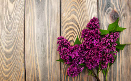 Lilac flowers on a old wooden backgroundの写真素材