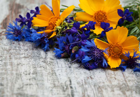 Wild flowers on a old wooden backgroundの写真素材