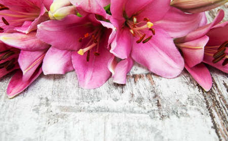 Pink lily on a old wooden backgroundの写真素材