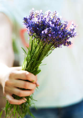 close up of female hand holding bouquet of lavenderの写真素材