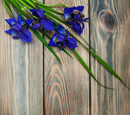 Iris flowers on a old wooden backgroundの写真素材