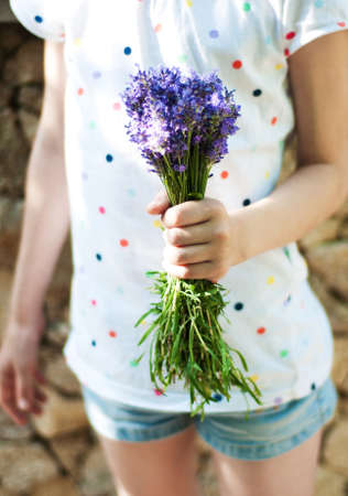 close up of female hand holding bouquet of lavenderの写真素材