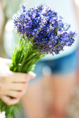 close up of female hand holding bouquet of lavenderの写真素材
