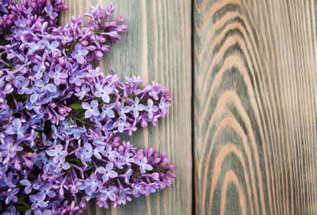 Lilac flowers on a old wooden backgroundの写真素材