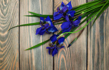 Iris flowers on a old wooden backgroundの写真素材