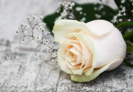 White  Rose on a old wooden tableの写真素材
