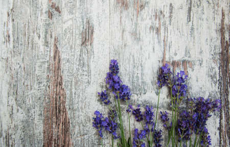 lavender flowers on a old wooden backgroundの写真素材
