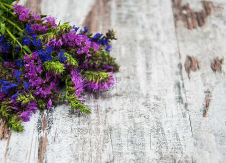 Pink and purple flowers on a old wooden backgroundの写真素材