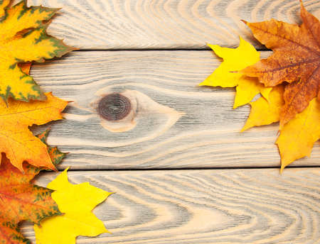 autumn wooden background with colorful maple leavesの写真素材