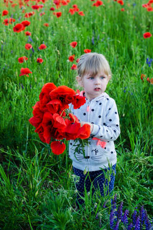 Little child girl in field with red poppy flowersの写真素材