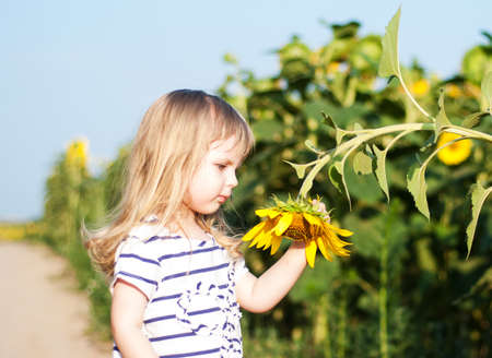 little girl on the field of sunflowersの写真素材