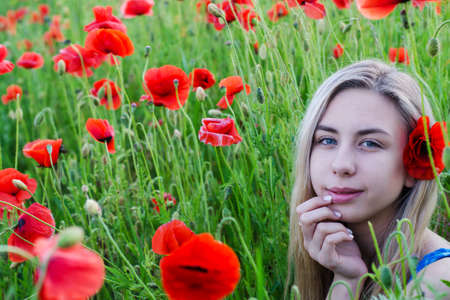 Beautiful young girl in the poppy fieldの写真素材