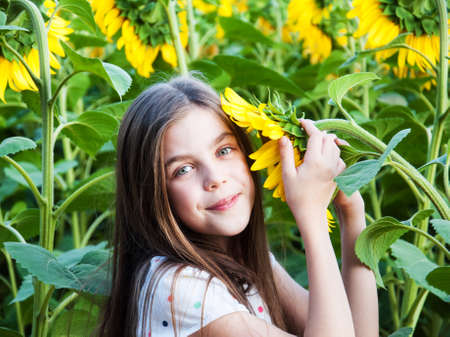 Beautiful  girl on the field of sunflowersの写真素材