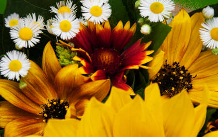 bouquet of sunflowers and daisies - close upの写真素材